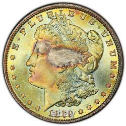 1879 $1 MS64+ Plus CAC Toned Morgan Dollar PCGS Gold Shield Beauitful Toning