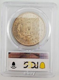 1881 Cc Morgan Silver Dollar Pcgs Ms64 Gsa Toned Gold Shield Lable