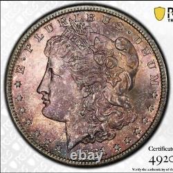 1881-S MS64 Purple Toned Morgan Dollar PCGS TrueView Flashy Gold Shield Fresh