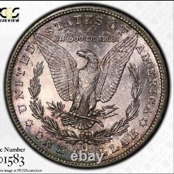 1881-S MS64 Purple Toned Morgan Dollar PCGS TrueView Flashy Gold Shield Fresh
