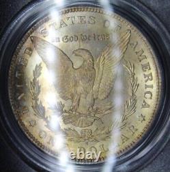 1881 S Morgan Silver Dollar Graded PCGS OGH Old Green MS64 Gold PL Toning Toned