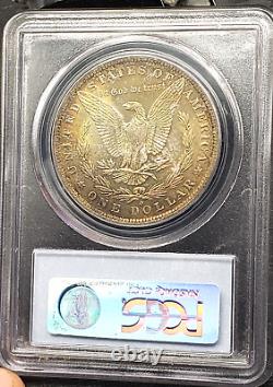 1883 O Morgan Silver Dollar PCGS MS 64 with CAC Stcker Nice Gold Toning