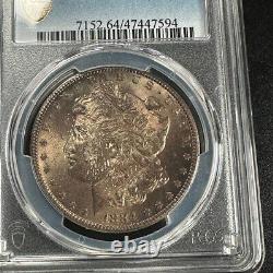 1884-CC Morgan Silver Dollar PCGS MS64 Awesome Patina Gold Shield TruView