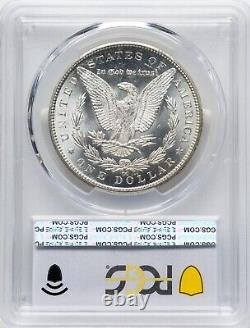 1884-CC Morgan Silver Dollar PCGS MS64+ Super Thick Luster Shiny Gold Shield