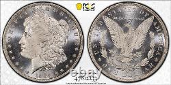 1884 O MORGAN SILVER DOLLAR PCGS UNC Detail Proteced by Gold Shield & TrueView