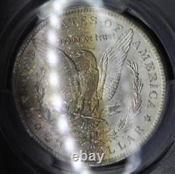 1885 O Morgan Silver Dollar Graded PCGS MS63 Gold Golden Brown Color Toned Coin