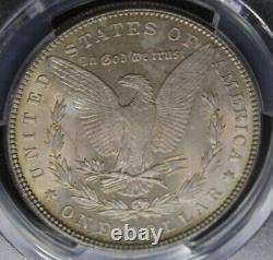 1885 PCGS Graded MS64 Nicely Color Toned Morgan Silver Dollar Gold Shield Slab