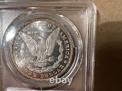 1885 P Morgan Silver Dollar Pcgs Gold Shield Ms64 Dmpl Cac Beautiful Coin