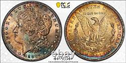 1886-P Morgan Dollar PCGS MS64 Beautifully Toned On Both Sides. Gold Shield