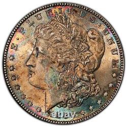 1886-P Morgan Dollar PCGS MS64 Beautifully Toned On Both Sides. Gold Shield