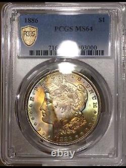1886-P Morgan Dollar PCGS MS64 Golden Defined Line EOR Rainbow Toned WithVideo