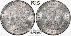 1888 PCGS Gold Shield MS64 Morgan Silver Dollar. Stunning Blast White Coin