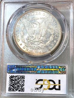 1891 Morgan Dollar PCGS MS64 Nice Russet/Gold Obverse Best Price Ebay CHRC