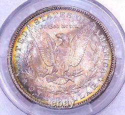 1898-O Morgan Dollar PCGS MS65+ CAC Magnificent Golden Rainbow Luster PQ #Y587