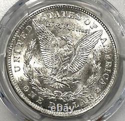 Beautiful 1921 Silver Morgan Dollar PCGS Gold Shield MS63