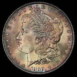 CAC Rainbow Toned 1889 $1 Morgan Silver Dollar MS64. PCGS Gold Shield