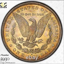 Golden Toned 1882 O MS 64 Morgan Silver Dollar VAM 7 O/O PCGS Trueview Slab 1367