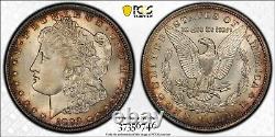 PCGS MS64+ 1892-O Morgan Silver Dollar! Gold Label