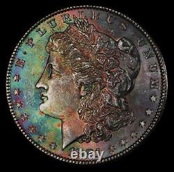 Rainbow Toned 1881-S $1 Morgan Silver Dollar MS63. PCGS Gold Shield + TrueView